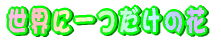 ���X�g�����A�i���X 