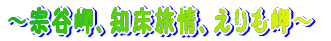 �k�C���߂��� 