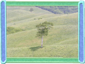 北見市郊外の丘状の牧草地の写真です。 私の大好きな風景です。